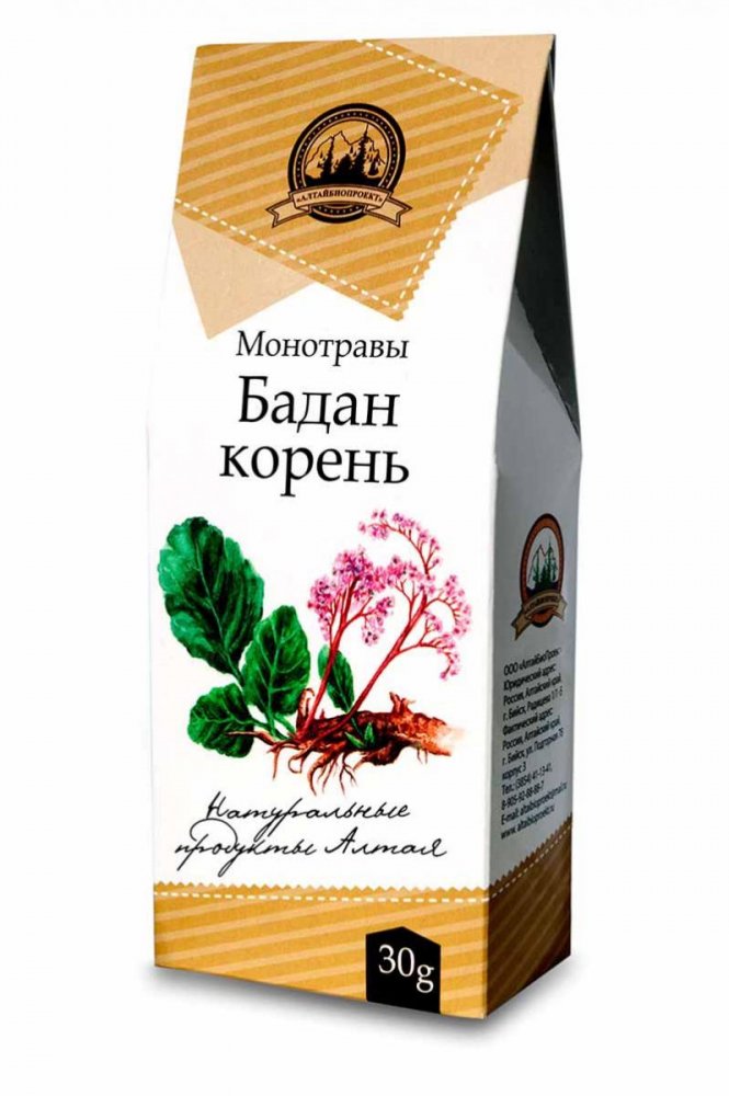 Бадан корень