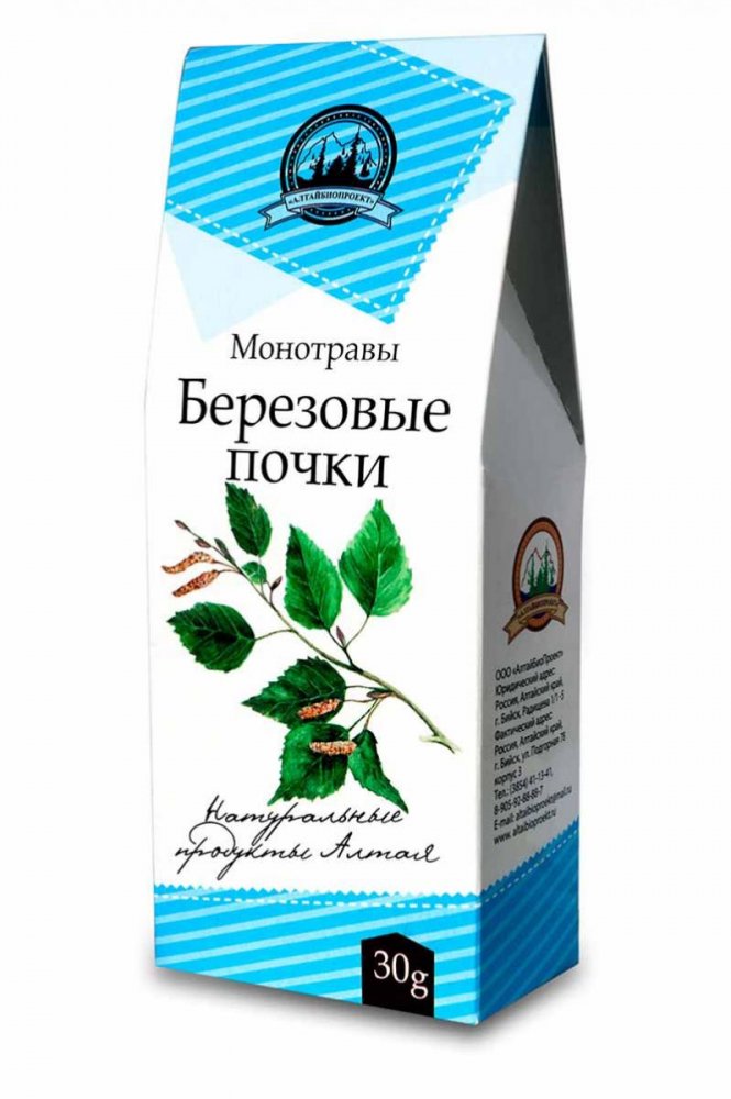 Березовые почки