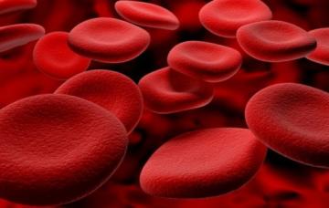 Как улучшить состав крови